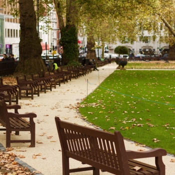 Berkeley Square gardens